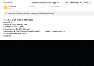 CWP7 Excessive resource usage alerts/notifications Block