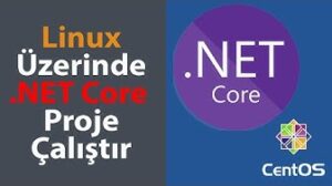 Running a .Net Core Project on Linux – DOTNET Core Proxy Nginx